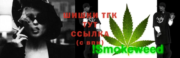 стаф Покачи