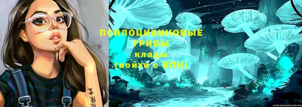 амф Пестово