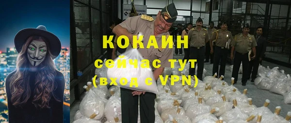 стаф Покачи