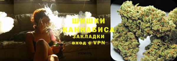 стаф Покачи