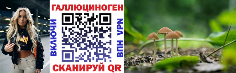 наркотики  Краснозаводск  Галлюциногенные грибы ЛСД 